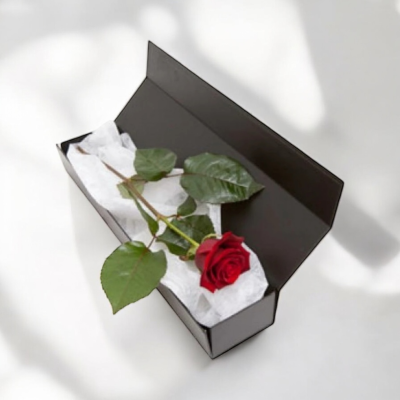 Single Red Rose - Single Red Rose in a box.